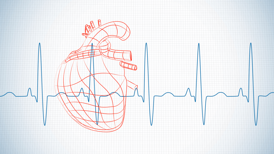 Unlocking the Fountain of Youth: How Heart Rate Variability Influences Longevity