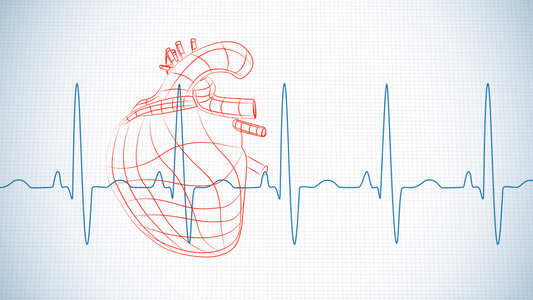 Unlocking the Fountain of Youth: How Heart Rate Variability Influences Longevity