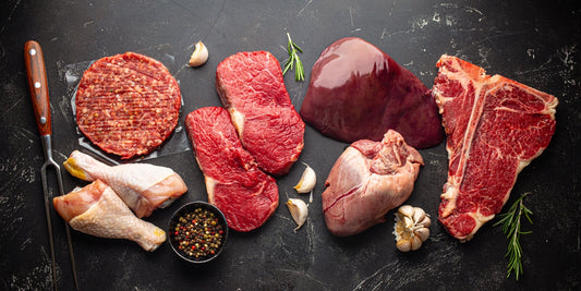 Why Animal-Based (Carnivore) Diets Accelerate Aging