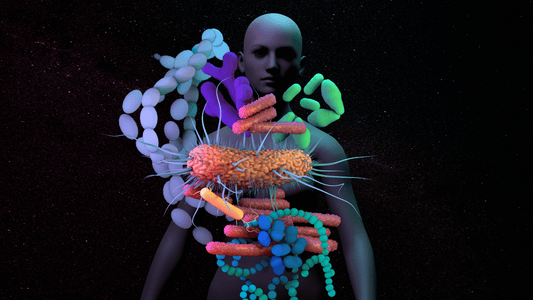 How the Microbiome and Immune System Impact Aging: A Comprehensive Exploration